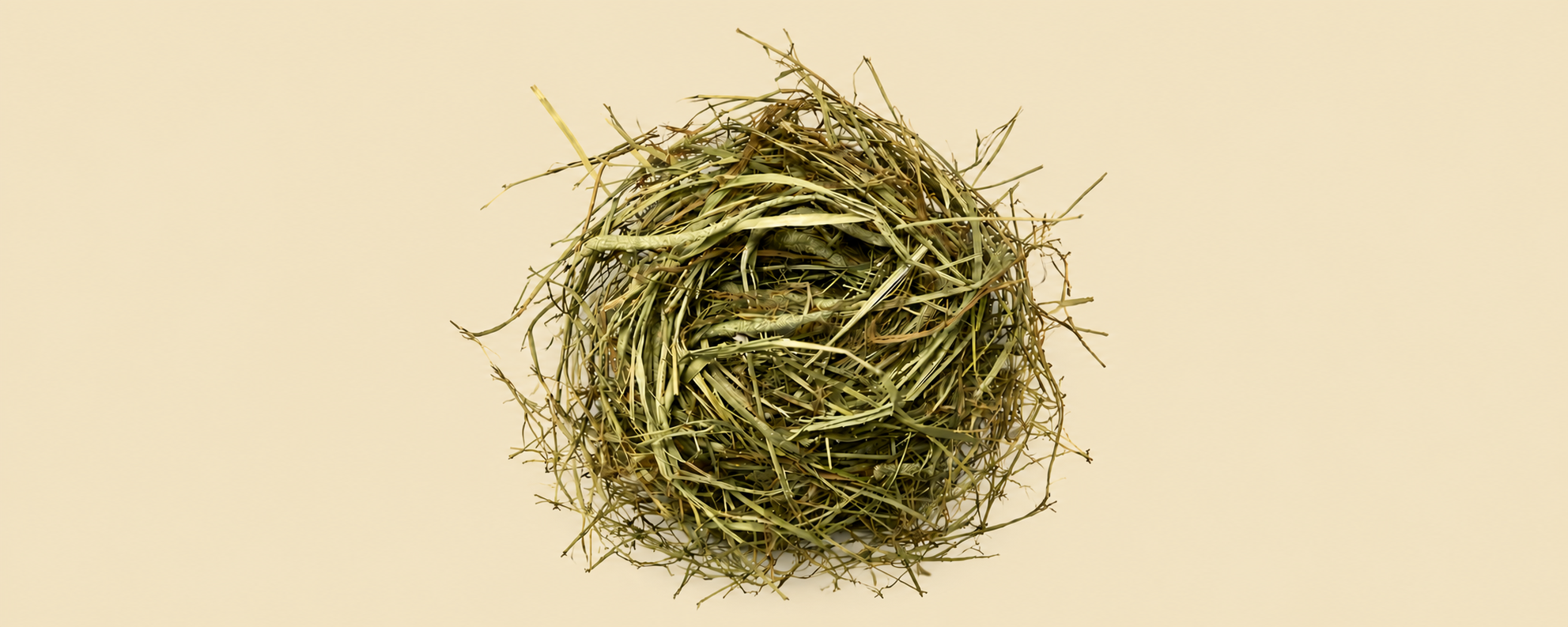 Fresh hay 2026 - Hein24 banner